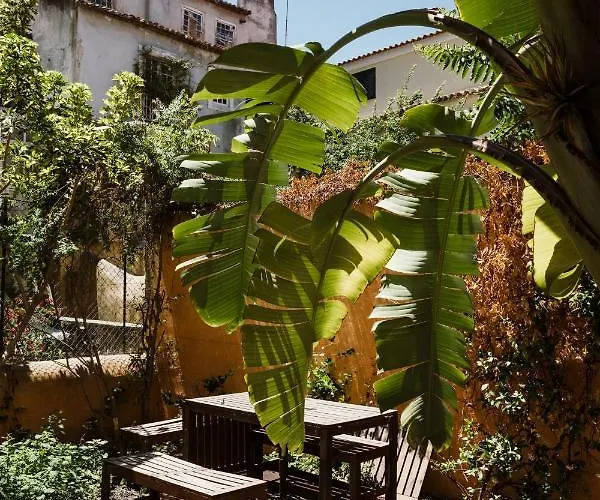 아파트 Principe Real Hideaway By Praca Das Flores